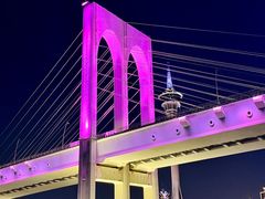 -澳门环岛游湾仔码头