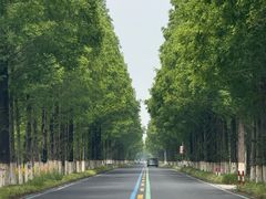 -黄海国家森林公园