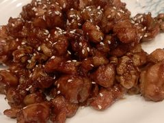 -新侨小馆(东直门北小街店)