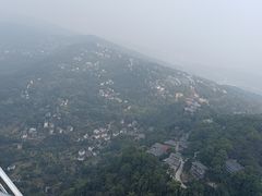 -南山植物园