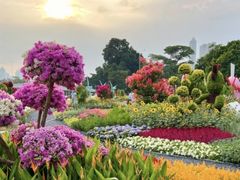 -旧雨咖啡·CoffeeFORU(黄村奥体店)