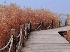 -野鸭湖国家湿地公园