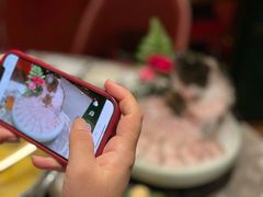 -禄婶鸡煲·打边炉