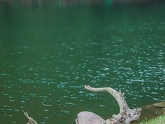 -金堂县云顶石城风景区