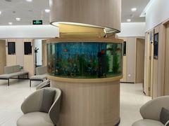 -慈铭体检(洋桥分院)