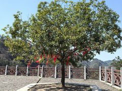 -方岩风景区