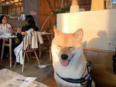 -the rug 飞毯 (朝阳公园店)