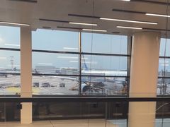 -谢列梅捷沃国际机场