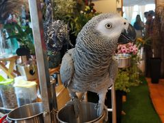 -森野花艺培训·企业团建活动沙龙