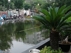 -招商银行(上海漕河泾支行)