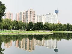 -莲花池公园