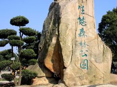 -昆山城市生态森林公园