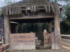 -都江堰玫瑰花溪谷