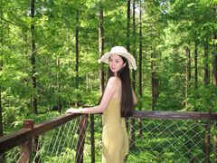 -黄海国家森林公园