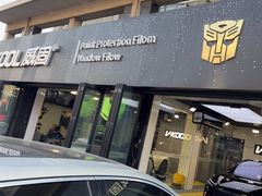 -利美特•威固V-KOOL双膜(杨浦授权店)