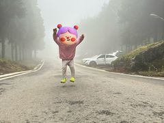-重庆睡佛山森林公园