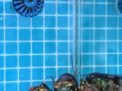 -启东小海鲜(庄先湾路1号店)