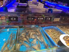 -加餐海鲜自助(宝龙一城店)