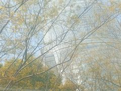 -BUS TOUR观光巴士