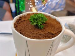 -喵园·猫主题咖啡厅·撸猫·猫咖(国贸店)