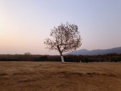 -钟山体育运动公园