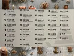 -四川大学博物馆