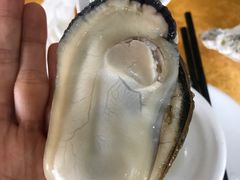-蚝专家(北滘店)