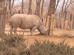 -北京野生动物园
