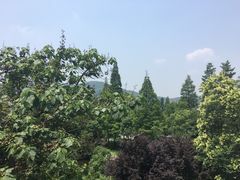 -金牛山大酒店(南北湖风景区店)