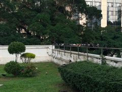 -九龙公园