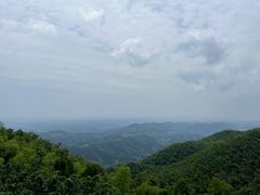 -长沙黑麋峰国家森林公园
