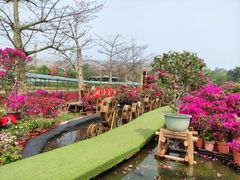 -盈香心动乐园