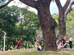 -人民公园(罗湖区)