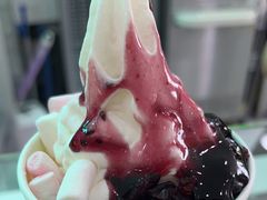 -Salud撒露欧洲冻酸奶(五道口购物中心店)