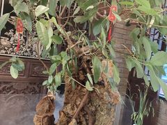 -鸢飞潍坊菜馆(鸢飞大酒店)