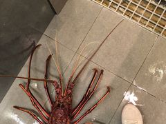 -广东名门