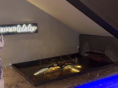 -杨氏青龙虾·羊蝎子(金盛路总店)