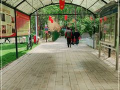 -草根堂农场