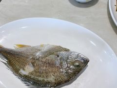-长平老姿娘夜粥(平东一街店)
