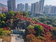 -仙岳公园