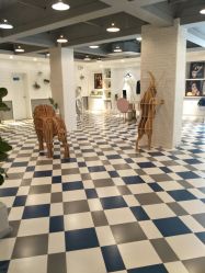 -宝贝天空儿童摄影(花溪店)