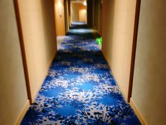 -上海虹桥西郊假日酒店