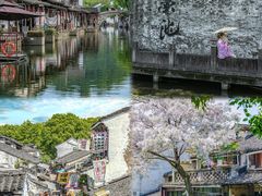 -绍兴鲁迅故里·沈园景区