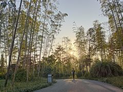 -雅达·阳羡溪山小镇中心