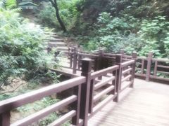 -北京西山国家森林公园