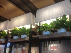 门面-肯德基(中纬店)
