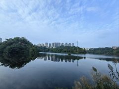 -重庆彩云湖湿地公园