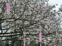 -杭州少年儿童公园
