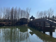 -溱湖国家湿地公园