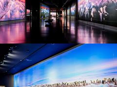 -罗红摄影艺术馆